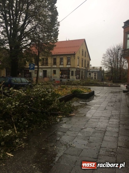 Zdjęcie w galerii na portalu naszraciborz.pl: Plac Wolności czy plac śmierci?  wiadomości z regionu