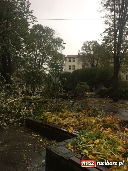 Zdjęcie w galerii na portalu naszraciborz.pl: Plac Wolności czy plac śmierci?  wiadomości z regionu