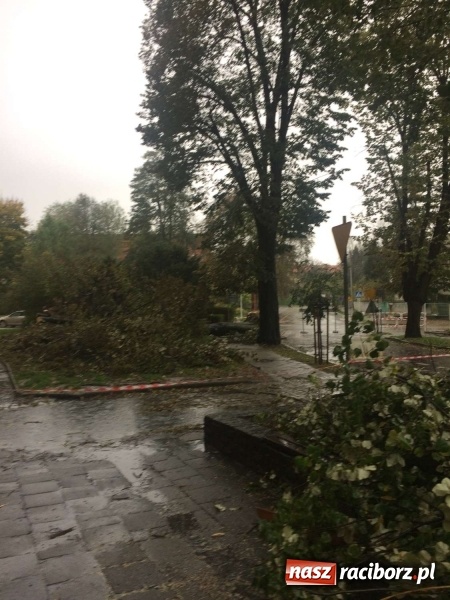 Zdjęcie w galerii na portalu naszraciborz.pl: Plac Wolności czy plac śmierci?  wiadomości z regionu