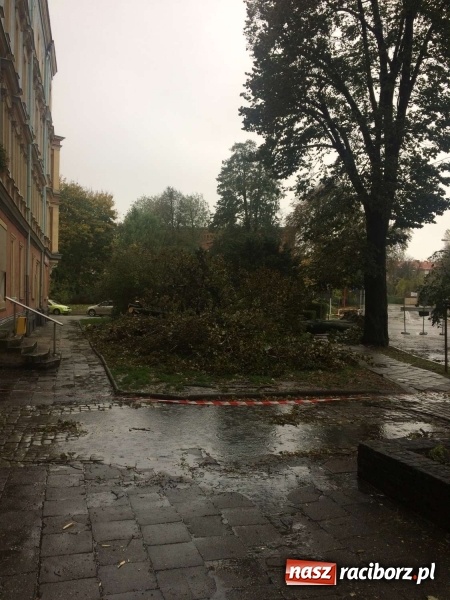 Zdjęcie w galerii na portalu naszraciborz.pl: Plac Wolności czy plac śmierci?  wiadomości z regionu