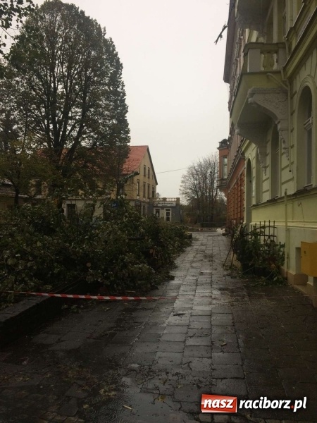 Zdjęcie w galerii na portalu naszraciborz.pl: Plac Wolności czy plac śmierci?  wiadomości z regionu