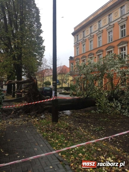 Zdjęcie w galerii na portalu naszraciborz.pl: Plac Wolności czy plac śmierci?  wiadomości z regionu