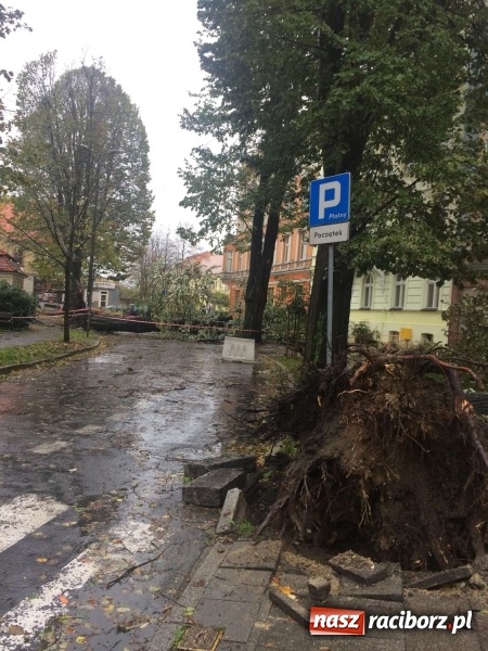 Zdjęcie w galerii na portalu naszraciborz.pl: Plac Wolności czy plac śmierci?  wiadomości z regionu