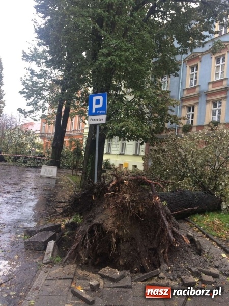 Zdjęcie w galerii na portalu naszraciborz.pl: Plac Wolności czy plac śmierci?  wiadomości z regionu