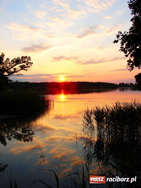 Zdjęcie w galerii na portalu naszraciborz.pl: Rezerwat Łężczok będzie miał nowe ścieżki spacerowe  wiadomości z regionu