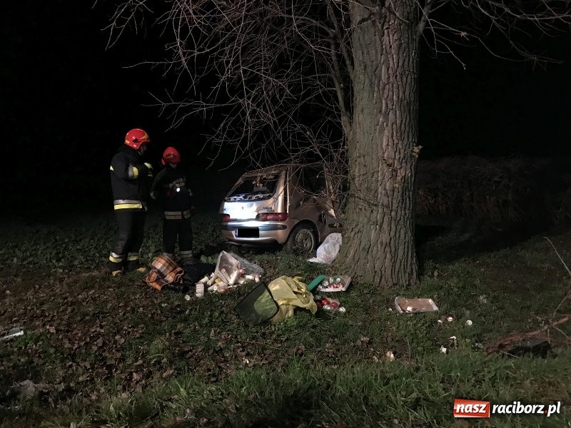 Zdjęcie w galerii na portalu naszraciborz.pl: Groźne zdarzenie drogowe w Żerdzinach. Dwa samochody w rowie  wiadomości z regionu