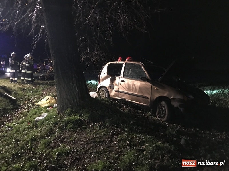Zdjęcie w galerii na portalu naszraciborz.pl: Groźne zdarzenie drogowe w Żerdzinach. Dwa samochody w rowie  wiadomości z regionu