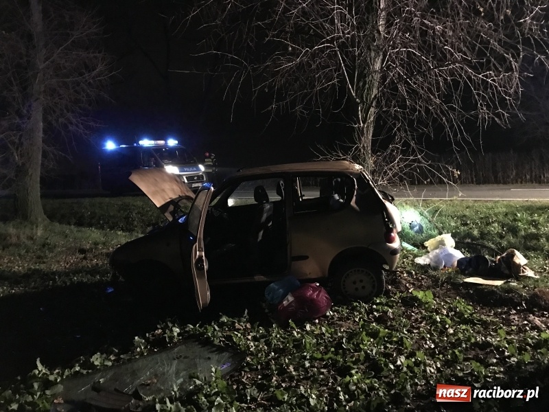 Zdjęcie w galerii na portalu naszraciborz.pl: Groźne zdarzenie drogowe w Żerdzinach. Dwa samochody w rowie  wiadomości z regionu