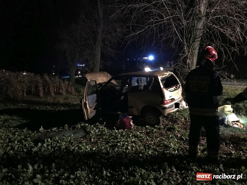 Zdjęcie w galerii na portalu naszraciborz.pl: Groźne zdarzenie drogowe w Żerdzinach. Dwa samochody w rowie  wiadomości z regionu