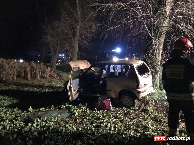 Zdjęcie w galerii na portalu naszraciborz.pl: Groźne zdarzenie drogowe w Żerdzinach. Dwa samochody w rowie  wiadomości z regionu