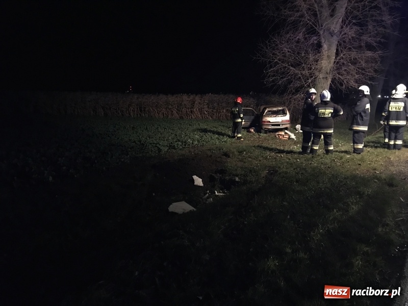 Zdjęcie w galerii na portalu naszraciborz.pl: Groźne zdarzenie drogowe w Żerdzinach. Dwa samochody w rowie  wiadomości z regionu