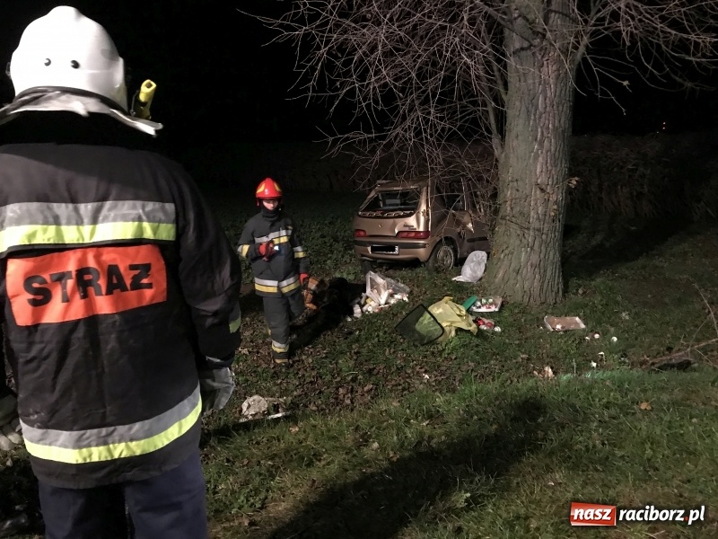 Zdjęcie w galerii na portalu naszraciborz.pl: Groźne zdarzenie drogowe w Żerdzinach. Dwa samochody w rowie  wiadomości z regionu
