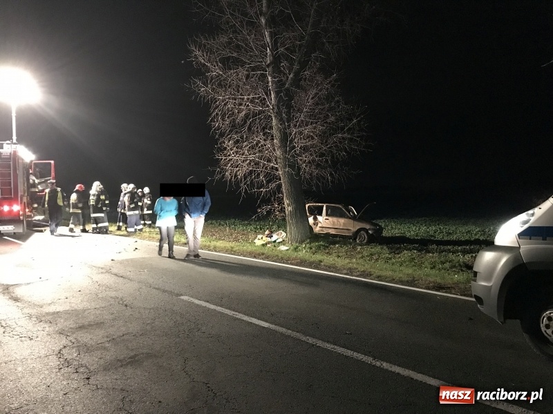 Zdjęcie w galerii na portalu naszraciborz.pl: Groźne zdarzenie drogowe w Żerdzinach. Dwa samochody w rowie  wiadomości z regionu