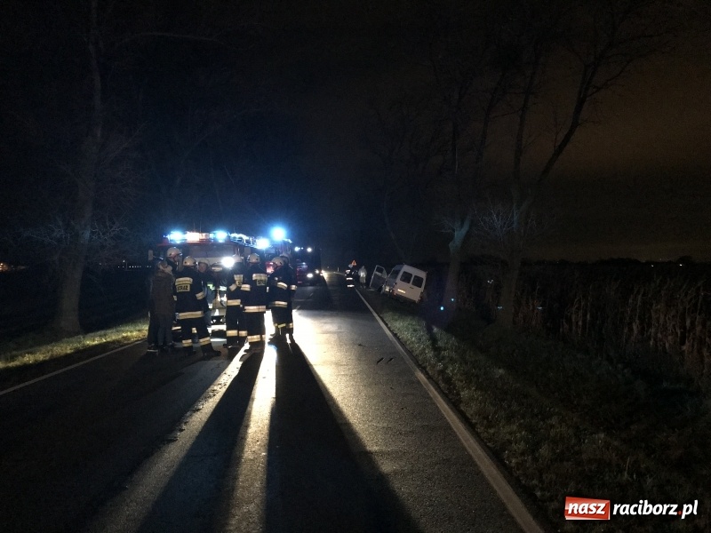 Zdjęcie w galerii na portalu naszraciborz.pl: Groźne zdarzenie drogowe w Żerdzinach. Dwa samochody w rowie  wiadomości z regionu