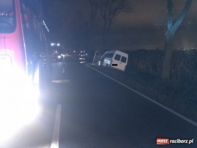 Zdjęcie w galerii na portalu naszraciborz.pl: Groźne zdarzenie drogowe w Żerdzinach. Dwa samochody w rowie  wiadomości z regionu