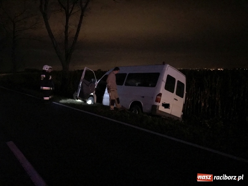 Zdjęcie w galerii na portalu naszraciborz.pl: Groźne zdarzenie drogowe w Żerdzinach. Dwa samochody w rowie  wiadomości z regionu