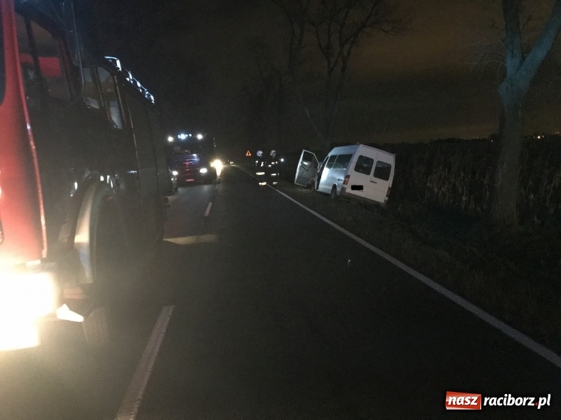 Zdjęcie w galerii na portalu naszraciborz.pl: Groźne zdarzenie drogowe w Żerdzinach. Dwa samochody w rowie  wiadomości z regionu