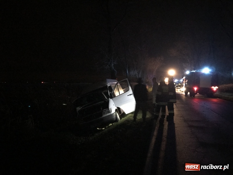 Zdjęcie w galerii na portalu naszraciborz.pl: Groźne zdarzenie drogowe w Żerdzinach. Dwa samochody w rowie  wiadomości z regionu