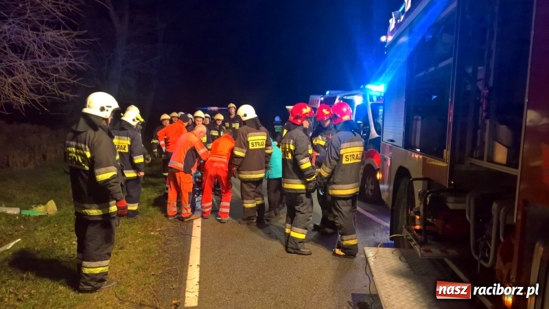 Zdjęcie w galerii na portalu naszraciborz.pl: Groźne zdarzenie drogowe w Żerdzinach. Dwa samochody w rowie  wiadomości z regionu