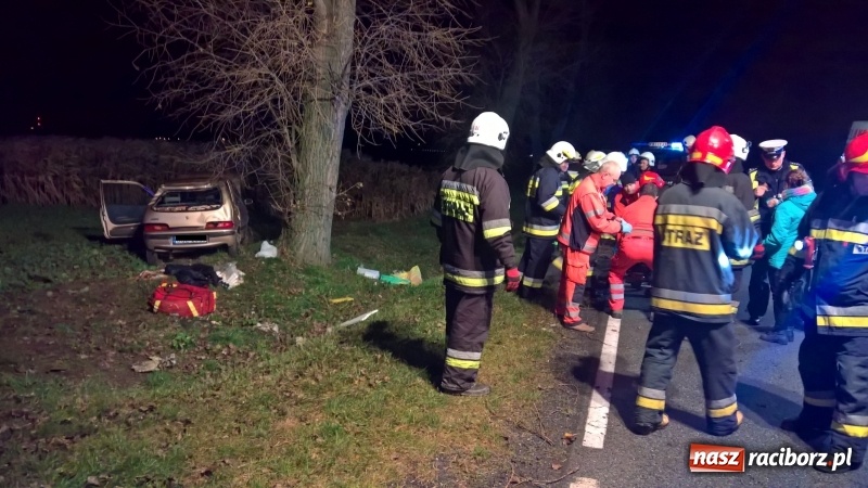 Zdjęcie w galerii na portalu naszraciborz.pl: Groźne zdarzenie drogowe w Żerdzinach. Dwa samochody w rowie  wiadomości z regionu