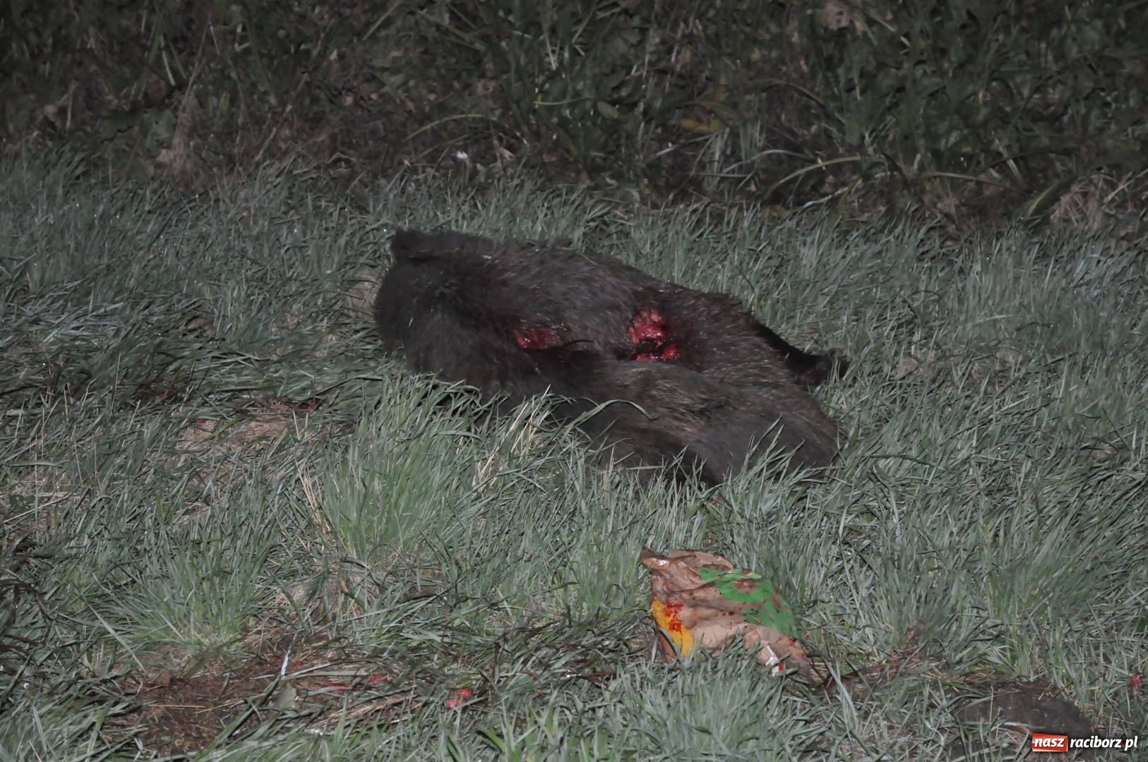 Zdjęcie w galerii na portalu naszraciborz.pl: O włos od tragedii. Nissan dachował na DK 45 pomiędzy Raciborzem a Bieńkowicami  wiadomości z regionu