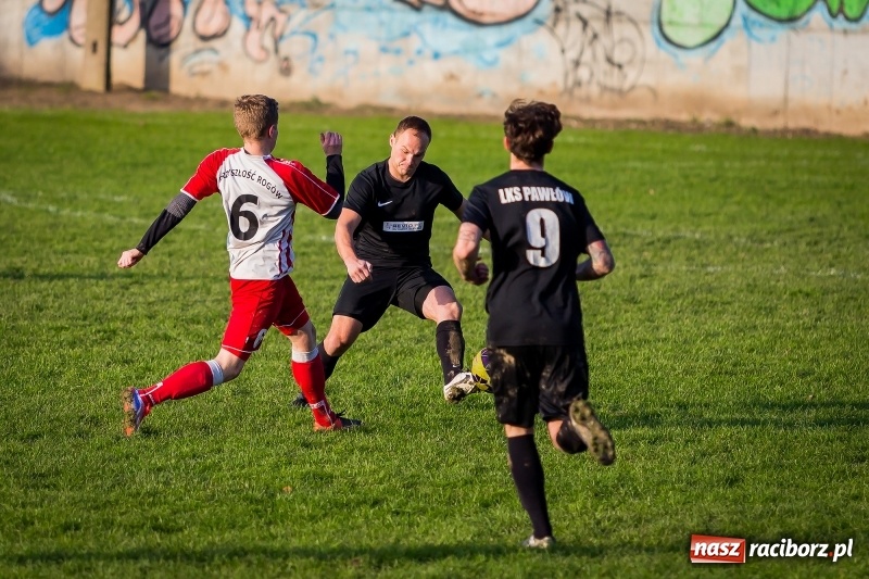 Zdjęcie w galerii na portalu naszraciborz.pl: Leszek Nieckarz bohaterem Pawłowa. Rezerwy Przyszłości Rogów nie zdołały odwrócić losów meczu  wiadomości z regionu