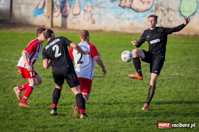 Zdjęcie w galerii na portalu naszraciborz.pl: Leszek Nieckarz bohaterem Pawłowa. Rezerwy Przyszłości Rogów nie zdołały odwrócić losów meczu  wiadomości z regionu