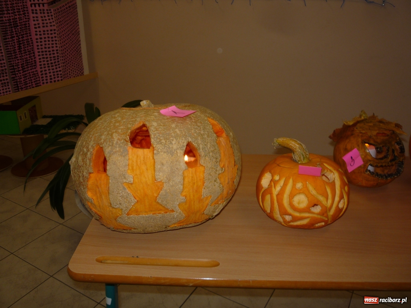 Zdjęcie w galerii na portalu naszraciborz.pl: Szachowy turniej w Czechach z udziałem uczniów szkoły podstawowej z Tworkowa wiadomości z regionu