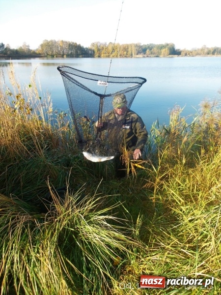 Zdjęcie w galerii na portalu naszraciborz.pl: W Nędzy łowili o puchar starosty. Babiczok zakończył sezon wiadomości z regionu
