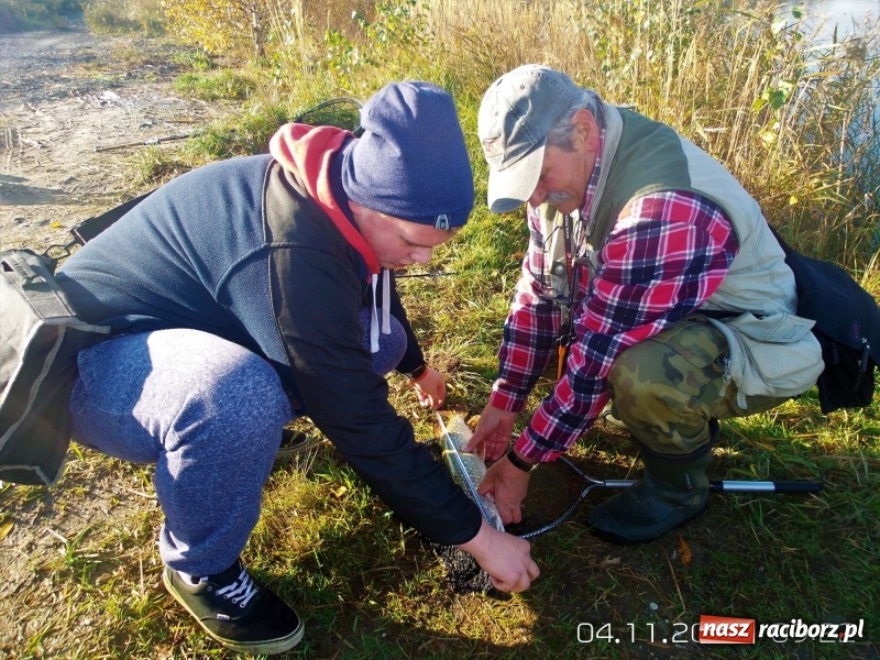 Zdjęcie w galerii na portalu naszraciborz.pl: W Nędzy łowili o puchar starosty. Babiczok zakończył sezon wiadomości z regionu