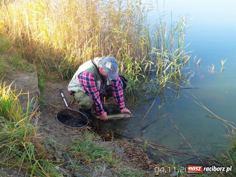 Zdjęcie w galerii na portalu naszraciborz.pl: W Nędzy łowili o puchar starosty. Babiczok zakończył sezon wiadomości z regionu