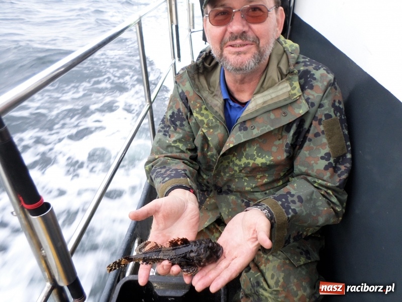 Zdjęcie w galerii na portalu naszraciborz.pl: Wędkarze z Raciborza na III Bitwie Morskiej w Ustce wiadomości z regionu