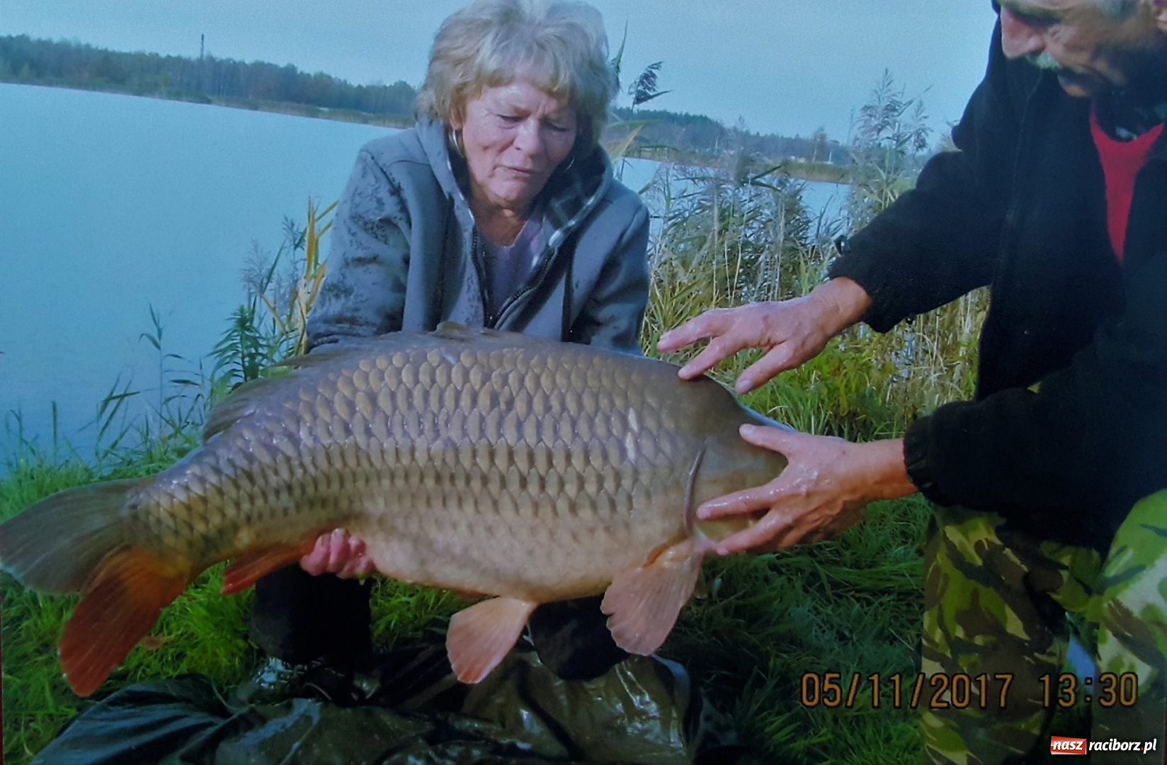 Zdjęcie w galerii na portalu naszraciborz.pl: Na Babiczoku rekord! Wielki karp na wędce pani Haliny wiadomości z regionu