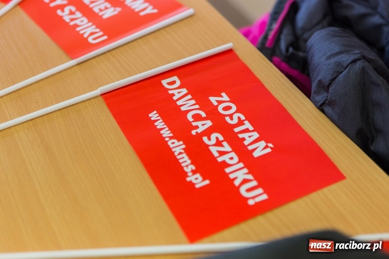 Zdjęcie w galerii na portalu naszraciborz.pl: Akcja rejestracji dawców szpiku w II LO wiadomości z regionu