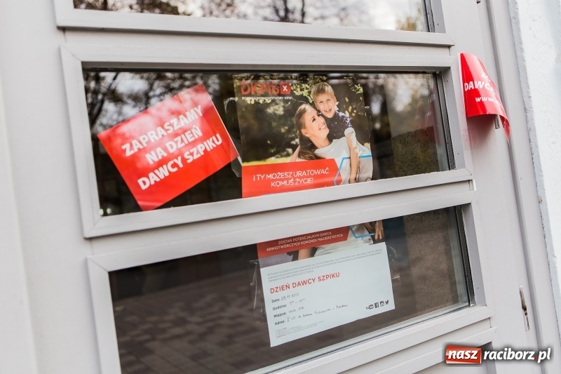 Zdjęcie w galerii na portalu naszraciborz.pl: Akcja rejestracji dawców szpiku w II LO wiadomości z regionu