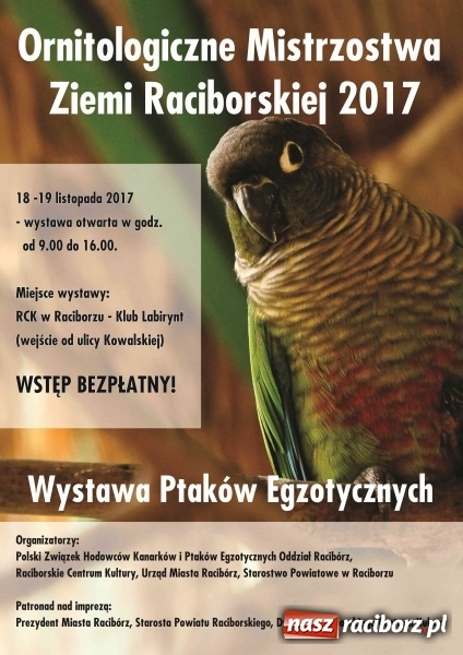 Zdjęcie w galerii na portalu naszraciborz.pl: Ornitologiczne mistrzostwa ziemi raciborskiej wiadomości z regionu