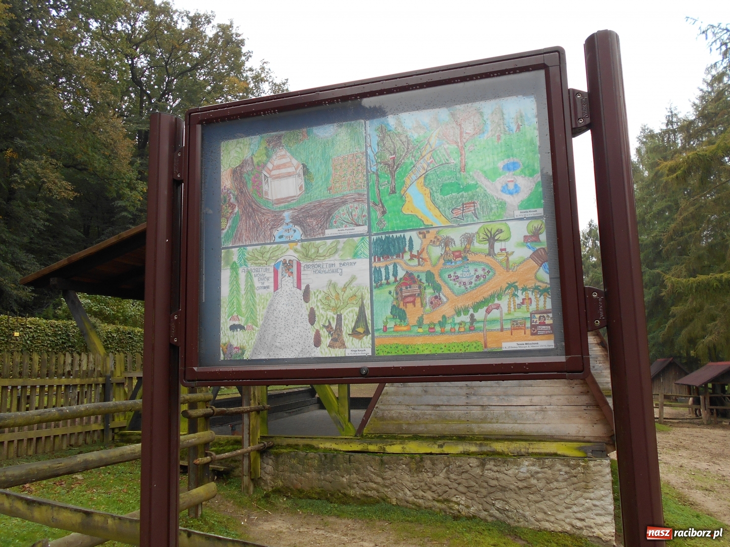 Zdjęcie w galerii na portalu naszraciborz.pl: Poznajemy piękno arboretów wiadomości z regionu