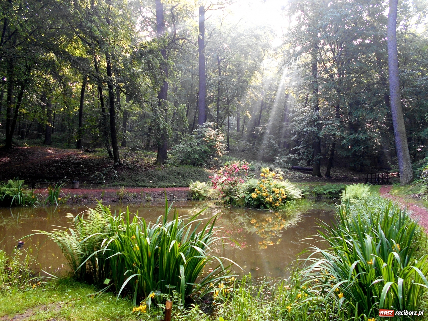 Zdjęcie w galerii na portalu naszraciborz.pl: Poznajemy piękno arboretów wiadomości z regionu