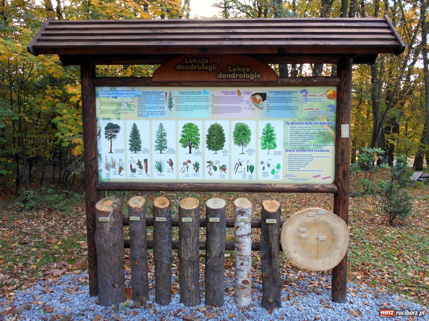 Zdjęcie w galerii na portalu naszraciborz.pl: Poznajemy piękno arboretów wiadomości z regionu