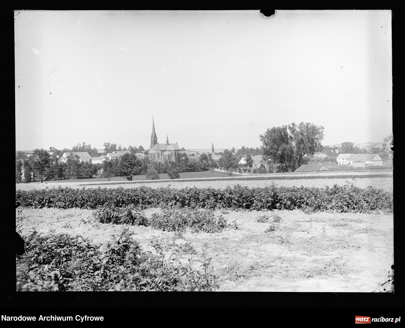Zdjęcie w galerii na portalu naszraciborz.pl: To musisz zobaczyć! Kolekcja unikalnych starych raciborskich fotografii opublikowana przez Narodowe Archiwum Cyfrowe  wiadomości z regionu