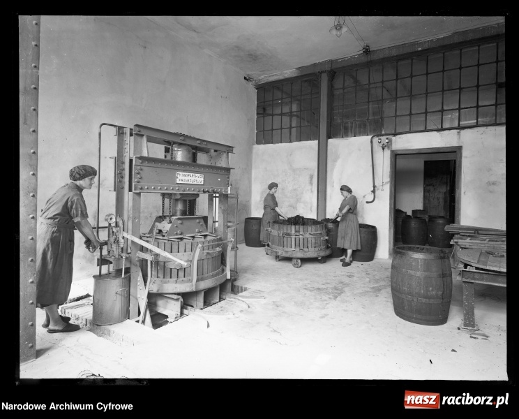 Zdjęcie w galerii na portalu naszraciborz.pl: To musisz zobaczyć! Kolekcja unikalnych starych raciborskich fotografii opublikowana przez Narodowe Archiwum Cyfrowe  wiadomości z regionu