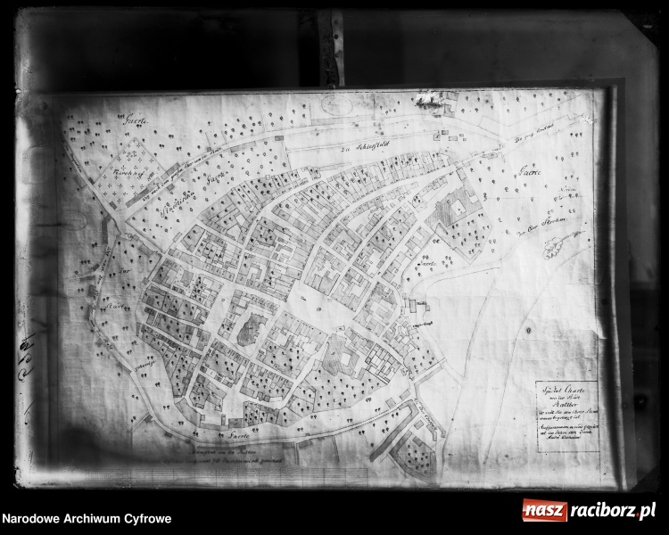 Zdjęcie w galerii na portalu naszraciborz.pl: To musisz zobaczyć! Kolekcja unikalnych starych raciborskich fotografii opublikowana przez Narodowe Archiwum Cyfrowe  wiadomości z regionu