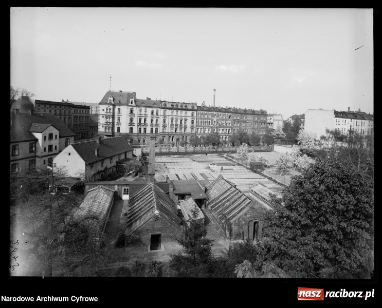Zdjęcie w galerii na portalu naszraciborz.pl: To musisz zobaczyć! Kolekcja unikalnych starych raciborskich fotografii opublikowana przez Narodowe Archiwum Cyfrowe  wiadomości z regionu