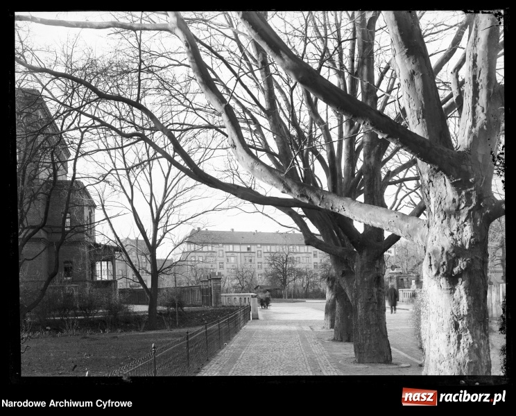 Zdjęcie w galerii na portalu naszraciborz.pl: To musisz zobaczyć! Kolekcja unikalnych starych raciborskich fotografii opublikowana przez Narodowe Archiwum Cyfrowe  wiadomości z regionu