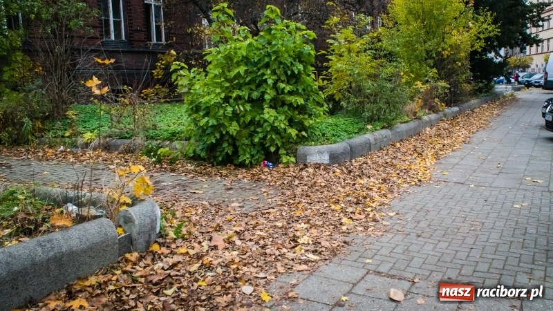 Zdjęcie w galerii na portalu naszraciborz.pl: Sodomy i Gomory w starym szpitalu ciąg dalszy. Czytelniczki alarmują o tym, co się dzieje w centrum Raciborza wiadomości z regionu