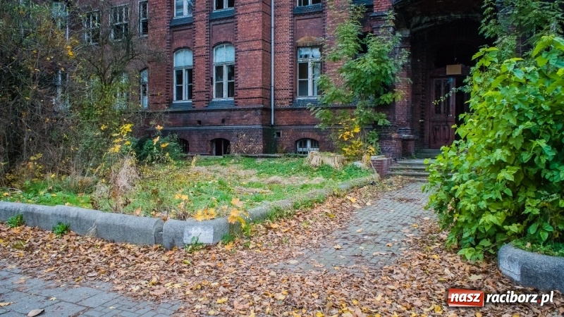 Zdjęcie w galerii na portalu naszraciborz.pl: Sodomy i Gomory w starym szpitalu ciąg dalszy. Czytelniczki alarmują o tym, co się dzieje w centrum Raciborza wiadomości z regionu