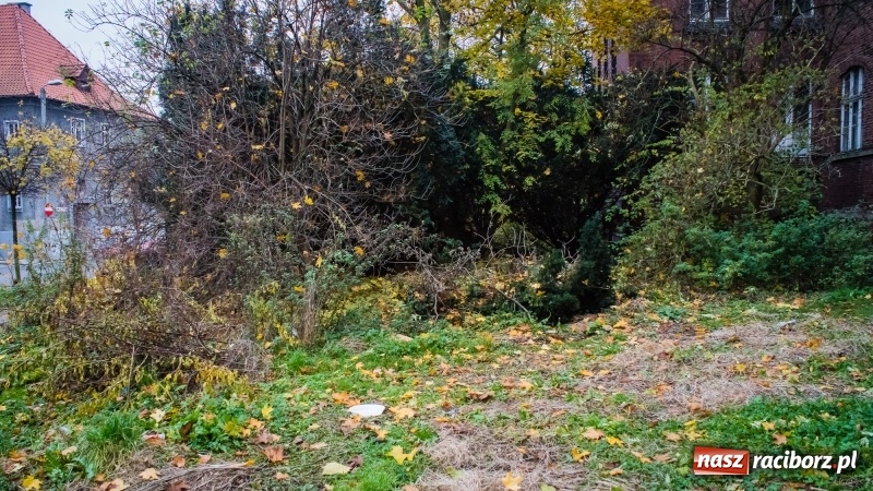 Zdjęcie w galerii na portalu naszraciborz.pl: Sodomy i Gomory w starym szpitalu ciąg dalszy. Czytelniczki alarmują o tym, co się dzieje w centrum Raciborza wiadomości z regionu