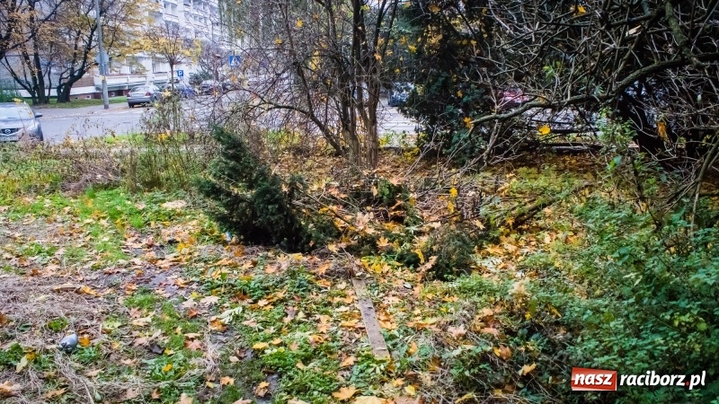Zdjęcie w galerii na portalu naszraciborz.pl: Sodomy i Gomory w starym szpitalu ciąg dalszy. Czytelniczki alarmują o tym, co się dzieje w centrum Raciborza wiadomości z regionu