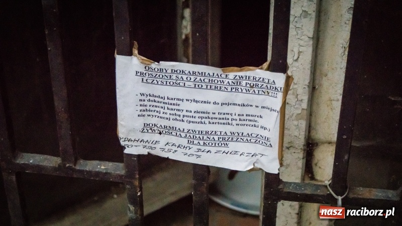 Zdjęcie w galerii na portalu naszraciborz.pl: Sodomy i Gomory w starym szpitalu ciąg dalszy. Czytelniczki alarmują o tym, co się dzieje w centrum Raciborza wiadomości z regionu