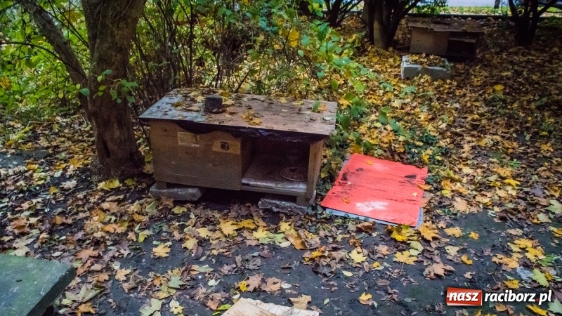 Zdjęcie w galerii na portalu naszraciborz.pl: Sodomy i Gomory w starym szpitalu ciąg dalszy. Czytelniczki alarmują o tym, co się dzieje w centrum Raciborza wiadomości z regionu